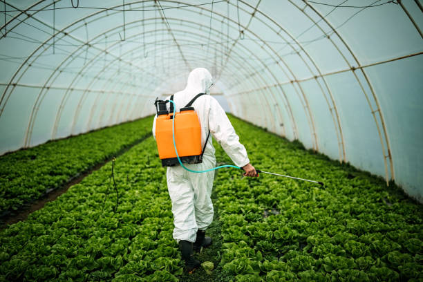 Professional Pest Control in Canadian, TX
