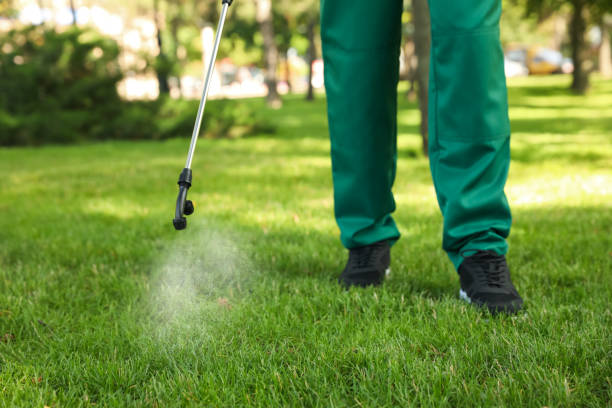 Best Flea Control Services  in Canadian, TX