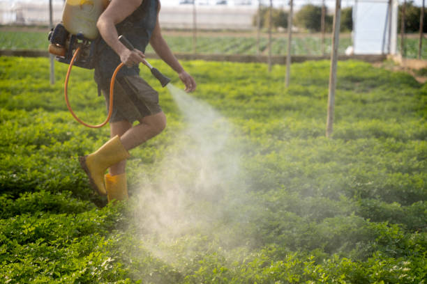 Best Pest Control Near Me in Canadian, TX