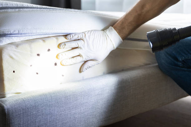 Best Best Pest Control Companies  in Canadian, TX