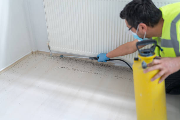 Pest Control for Restaurants in Canadian, TX