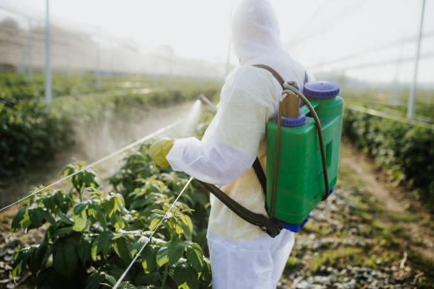 Wildlife Control Services in Canadian, TX